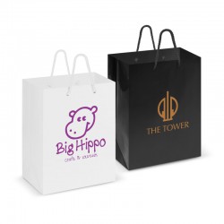 Paper Bags - Laminated Carry Bag - Medium
