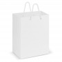 Paper Bags - Laminated Carry Bag - Medium