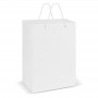 Paper Bags - Laminated Carry Bag - Large