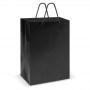 Paper Bags - Laminated Carry Bag - Large