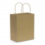 Paper Carry Bag - Medium