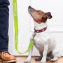 Trek Dog Leash