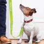 Novelties - Trek Dog Leash