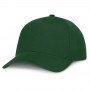 Caps - Falcon Cap