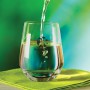 Printed Glasses, Cups & Tumblers - Vino Stemless Glass
