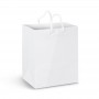 Medium Laminated Paper Carry Bag - Full Colour