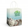 Paper Bags - Large Paper Carry Bag - Full Colour