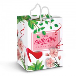 Paper Bags - Large Laminated Paper Carry Bag - Full Colour