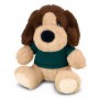 Teddy Bears - Dog Plush Toy