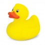 Novelties - Rubber Duck