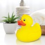 Novelties - Rubber Duck