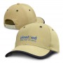 Caps - Springfield Cap