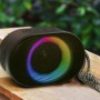 Cheese Sets - Terrain Outdoor Bluetooth Speaker