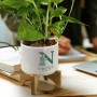 Homeware Products - Planter with Bamboo Base