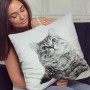 Homeware Products - Utopia Cushion - Plush