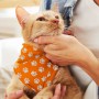 Homeware Products - Pet Bandana - Small