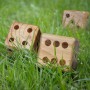 Toys, Games & Novelties - Wooden Yard Dice Game
