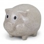 Natura Piggy Bank