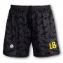 Sport Balls - Custom Mens Volleyball Shorts