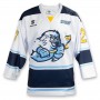 Sport Balls - Custom Hockey Jersey