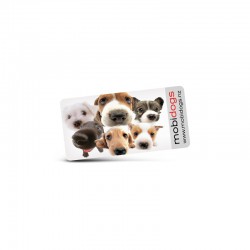 Toys, Games & Novelties - AD Labels 40 x 20mm