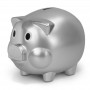 Money Boxes - Piggy Bank
