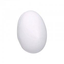 Stress Balls - Stress Egg - White