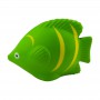 Stress Animals - Stress Tropical Fish