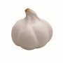 Stress Garlic