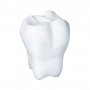 Stress Shapes - Stress Tooth