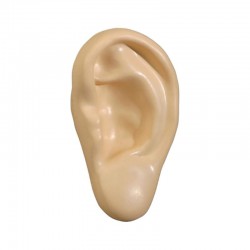 Stress Shapes - Stress Ear