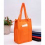 Non Woven Bags - Non Woven Cooler Bag with Top Zip Closure
