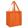 Non Woven Cooler Bag with Zipped Lid