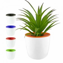 Enviro Office Items - Mini Desk Plant Pot