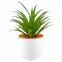Enviro Office Items - Mini Desk Plant Pot