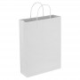 Paper Bags - Paper Trade Show Bag