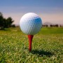 Golf Balls & Accessories - Golf Tee