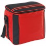 Large Cooler Bag