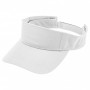 Event Visor