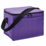 Cooler Bags - Arctic Cooler