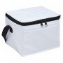 Cooler Bags - Arctic Cooler