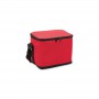 Cooler Bags - 6 Pack Cooler Bag