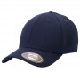 Caps - Legend Black YankeeCap