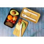 Picnic Sets - Two Layer Lunch Box