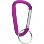 Carabiner Key Ring