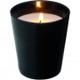 Candles - Seasons Lunar Scented Candle