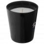 Candles - Seasons Lunar Scented Candle