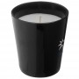 Seasons Lunar Scented Candle