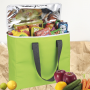 Arctic Zone® 30-Can Foldable Freezer Tote