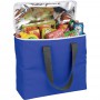 Arctic Zone® 30-Can Foldable Freezer Tote